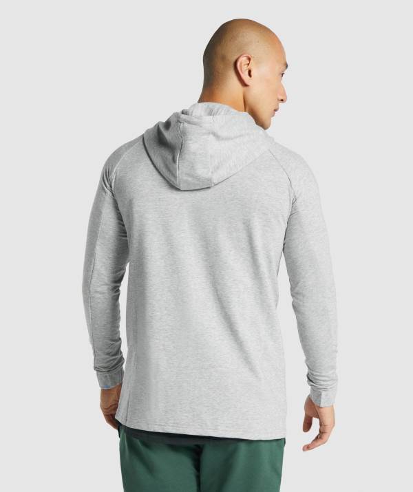 Panske Mikiny S Kapucňou Gymshark Critical 2.0 Zip Up Svetlo Siva | WF2931408